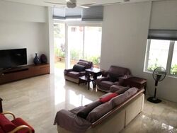 Shamrock Park (D10), Terrace #574052511